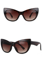 Catwalk Horizon Shades - 6 colors - Hello Baabs LLC 