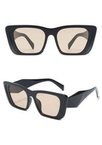 Icon Frame Sunglasses - 7 colors - Hello Baabs LLC 