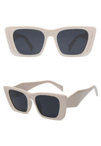 Icon Frame Sunglasses - 7 colors - Hello Baabs LLC 
